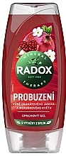 Парфумерія, косметика Гель для душу "Пробудження" - Radox Awakening Pomegranate And Apricot Blossom Shower Gel