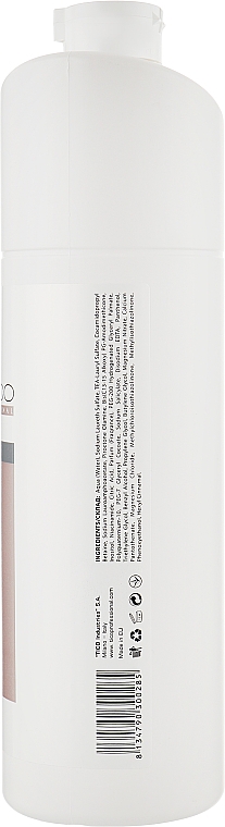 Шампунь для волос против перхоти - Tico Professional Expertico Anti-Dandruff Shampoo — фото N2