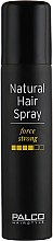 Спрей сильної фіксації для волосся - Palco Professional Hairstyle Natural Hair Spray Strong — фото N1