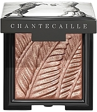 Парфумерія, косметика Тіні для повік - Chantecaille Luminescent Eye Shade Wild Mustang Collection