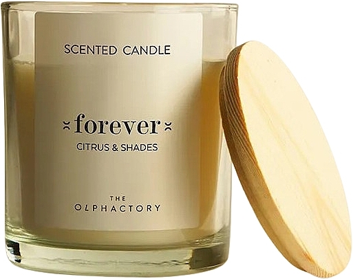 Ароматическая свеча - Ambientair The Olphactory Forever Citrus & Shades Scented Candle — фото N1