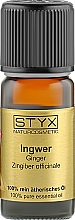 Эфирное масло "Имбирь" - Styx Naturcosmetic — фото N1
