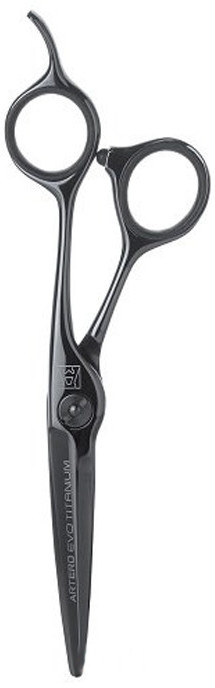Ножницы парикмахерские прямые 5.5", класс 3 - Artero Evo Black Titanium — фото N1