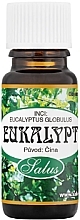 Духи, Парфюмерия, косметика Эфирное масло эвкалипта - Saloos Essential Oils Eucalyptus Ch 
