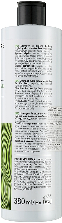 Шампунь для об'єму волосся "Зелений чай і глина" - Dermofuture Daily Care Flat Hair Shampoo Green Tea + Clay — фото N2