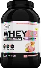 Протеїн "Макарон" - Genius Nutrition Whey-X5 Premium Protein Macarons — фото N2