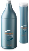 Духи, Парфюмерия, косметика Шампунь для окрашенных волос - Periche Professional Nutritive Line Color Care Shampoo