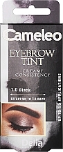 Крем-фарба для брів, чорна - Delia Eyebrow Tint Cream Cameleo 1.0 Black — фото N1