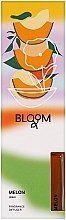 Духи, Парфюмерия, косметика Aroma Bloom Reed Diffuser Melon - Аромадиффузор
