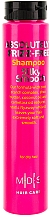 ПОДАРОК! Шампунь "Шелковая Гладь" - Mades Cosmetics Absolutely Frizz-free Shampoo Silky Smooth — фото N2