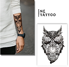Временные тату «Рассудительная сова» - Ne Tattoo — фото N1