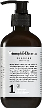 Духи, Парфюмерия, косметика Шампунь для волос - Triumph & Disaster Shampoo