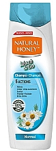Духи, Парфюмерия, косметика Шампунь для нормальных волос - Natural Honey Wash & Go Shampoo