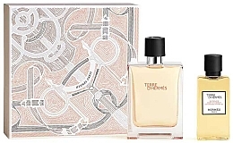 Hermes Terre d’Hermes - Набор (edt/100ml + sh/gel/80ml) — фото N1