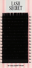 Накладні вії, чорні, 16 ліній (один розмір, 0,07, C, 12) - Lash Secret — фото N1