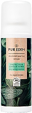Парфумерія, косметика Дезодорант для чоловіків - Pur Eden Protection Deodorant