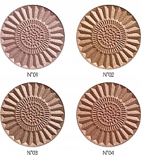 Бронзируюущая пудра - Revers Bronze & Shimmer — фото N2