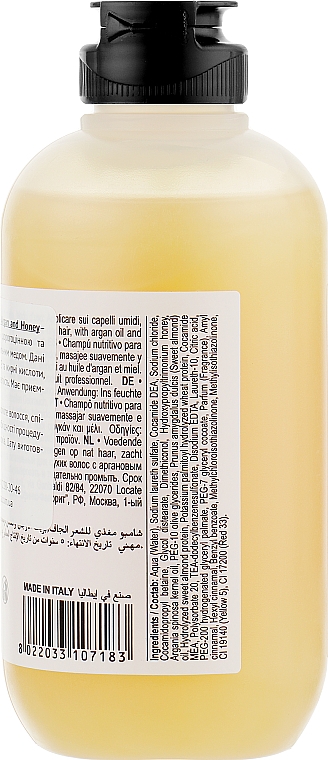 Шампунь "Арганія і мед" - Farmavita Back Bar No2 Nourishing Shampoo Argan and Honey — фото N2