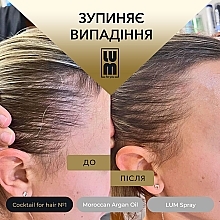 Набір "Повноцінний курс відновлення до 3 місяців" - LUM (oil/50ml + hair/coc/2x50ml + spray/120ml) — фото N4