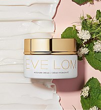 Увлажняющий крем - Eve Lom Moisture Cream — фото N9