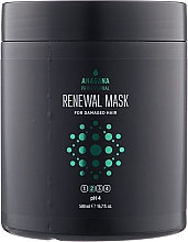 Восстанавливающая маска для поврежденных волос - Anagana Professional Renewal Mask For Damaged Hair 2 pH 4 — фото N2