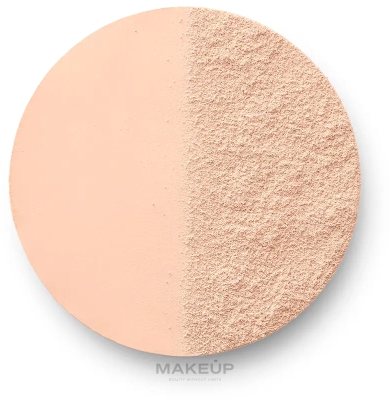 Пудра для обличчя - Bourjois Paris Always Fabulous SPF 20 Powder Foundation — фото 100 - Rose Ivory