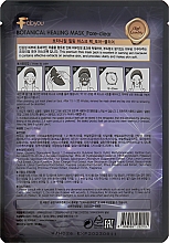 Маска для лица очищающая - Fabyou Botanical Healing Mask Pore-Clear — фото N2