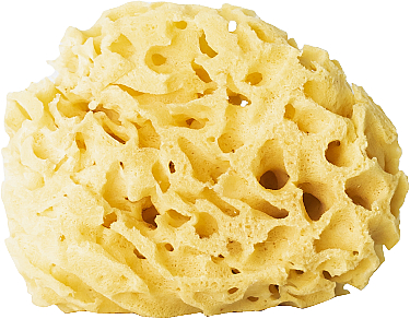 Натуральная губка, желтая, 12,5 см - Hhuumm 03H Natural Sponge — фото N1