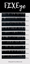 Парфумерія, косметика Вії для нарощування, 10 л, одна довжина, чорні, вигин B, товщина 0.05 мм, довжина 12 мм - FIXEye Hylon Lash