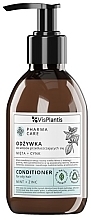 Парфумерія, косметика Кондиціонер для жирного волосся "М'ята + цинк" - Vis Plantis Pharma Care Mint + Zink Conditioner