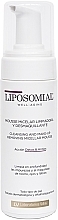 Мицеллярный мусс для очищения лица - Liposomial Well-Aging Cleansing And Make-Up Removing Micellar Mousse — фото N1