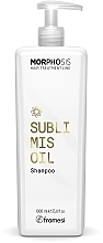 Шампунь с аргановым маслом - Framesi Morphosis Sublimis Oil Shampoo — фото N2