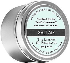 Demeter Fragrance The Library of Fragrance Salt Air Atmosphere Soy Candle - Ароматическая свеча — фото N1