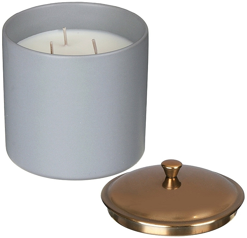 Ароматическая свеча "Ветивер и кардамон", 3 фитиля - Paddywax Hygge Ceramic Candle Grey Vetiver & Cardamom — фото N2