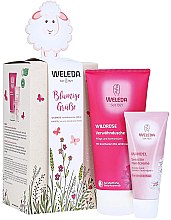 Парфумерія, косметика Набір - Weleda Frühlingsset Wildrose & Mandel (sh/gel/200ml + h/cr/50ml)