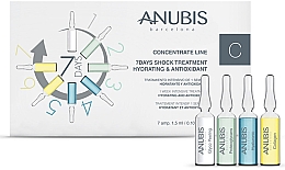 Духи, Парфюмерия, косметика Концентрат для лица - Anubis 7 Days Shock Treatment Hydratring & Antioxidant