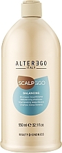 Балансирующий шампунь для волос - Alter Ego ScalpEgo Balancing Rebalancing Shampoo — фото N3