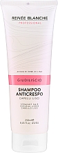 Парфумерія, косметика Шампунь для вирівнювання волосся - Renee Blanche Anti-frizz Shampoo