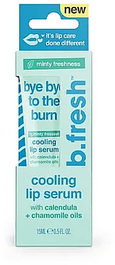 Сыворотка для губ - B.fresh Bye Bye To The Burn Lip Serum — фото N1