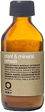 Парфумерія, косметика Сухий шампунь для волосся - Oway Plant & Mineral Refresh Dry Shampoo