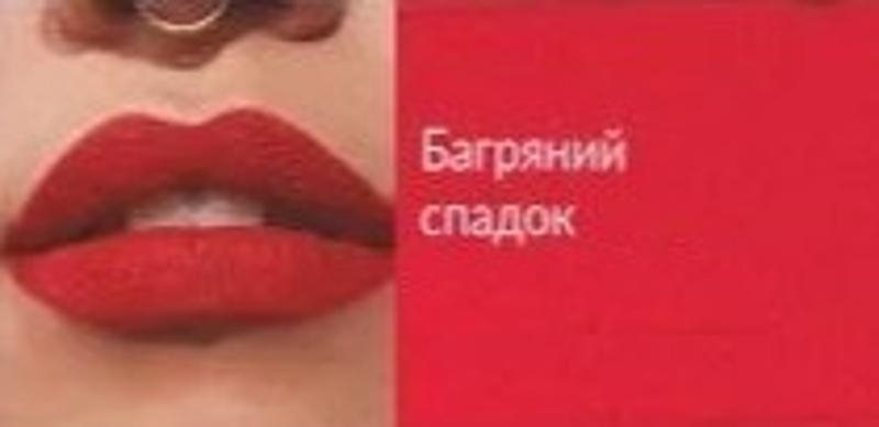 Помада для губ "Суперстойкость" - Avon Power Stay 10H Precise Lip Stylo — фото Багровое наследие