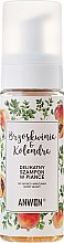Шампунь-піна з персиком і коріандром для сухої і чутливої шкіри голови - Anwen Peach and Coriander Shampoo — фото N1