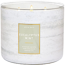 Духи, Парфюмерия, косметика Bath and Body Works Eucalyptus Mint Scented Candle - Ароматическая свеча