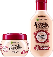 Набір - Garnier Botanic Therapy (shmp/250ml + h/mask/300ml) — фото N2