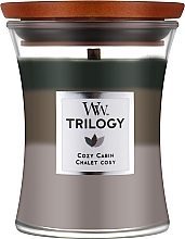 Ароматична свічка в склянці - WoodWick Hourglass Trilogy Candle Cozy Cabin — фото N1