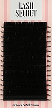 Накладні вії, чорні, 16 ліній (один розмір, 0.1, D, 11) - Lash Secret — фото N1
