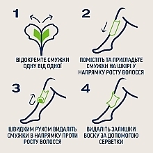 УЦІНКА Воскові смужки для депіляції для сухої шкіри, з алоє вера, 12 шт.  - Veet Professional * — фото N4