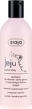 Парфумерія, косметика Шампунь для волосся з манго, кокосом та папаєю - Ziaja Jeju