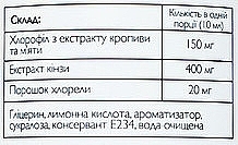 Хлорофилл жидкий - All Be Ukraine Chlorophyll Liquid — фото N4