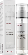 Увлажняющая мист-эссенция с галактомисисом - Manyo Factory Galactomy Essence Mist — фото N2